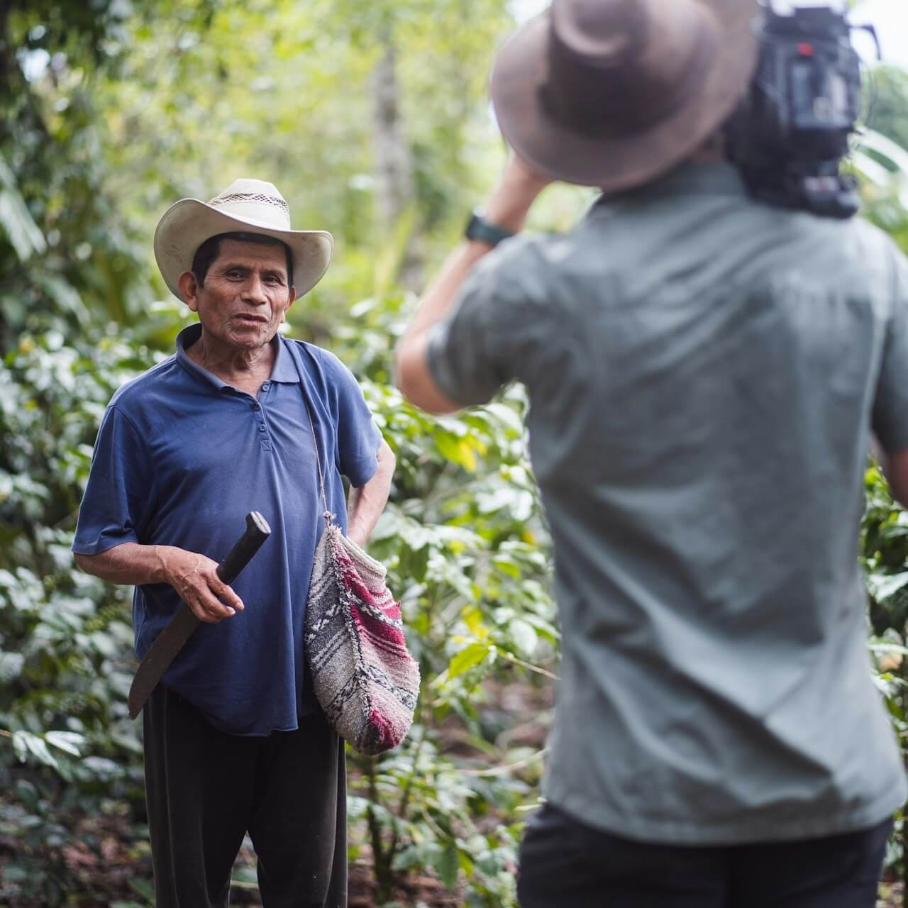 International Partners